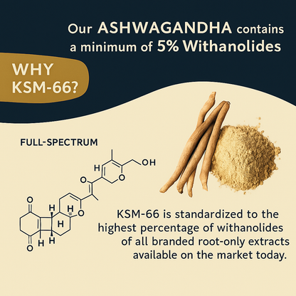 Ashwagandha KSM-66™